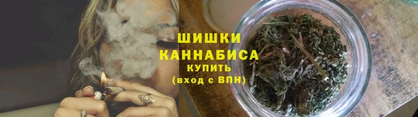 PSILOCYBIN Гусь-Хрустальный