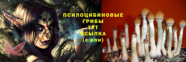 молекула духа Мегион