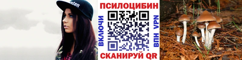 darknet официальный сайт  Мегион  Псилоцибиновые грибы мухоморы 