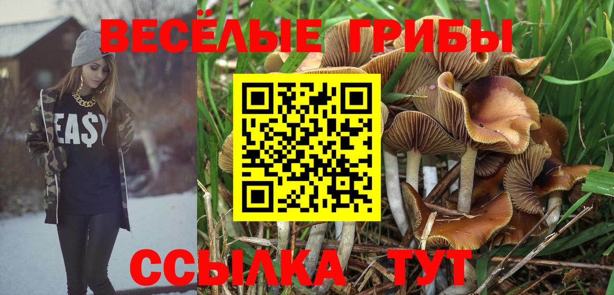 Псилоцибиновые грибы мухоморы Мегион