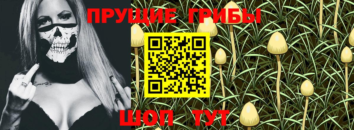 Псилоцибиновые грибы Magic Shrooms  Мегион 