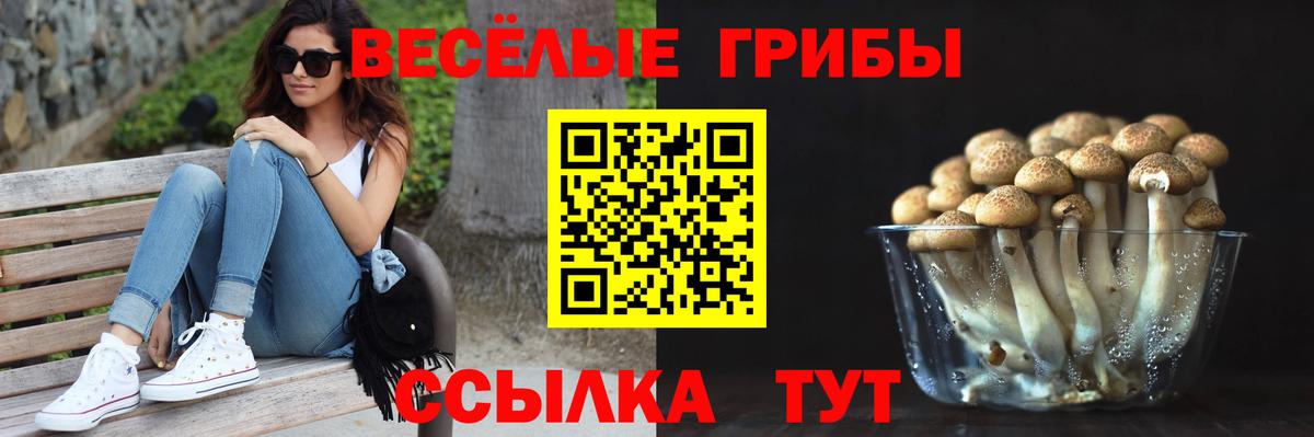 хочу наркоту  Псилоцибиновые грибы прущие грибы  Вход с VPN  Мегион 
